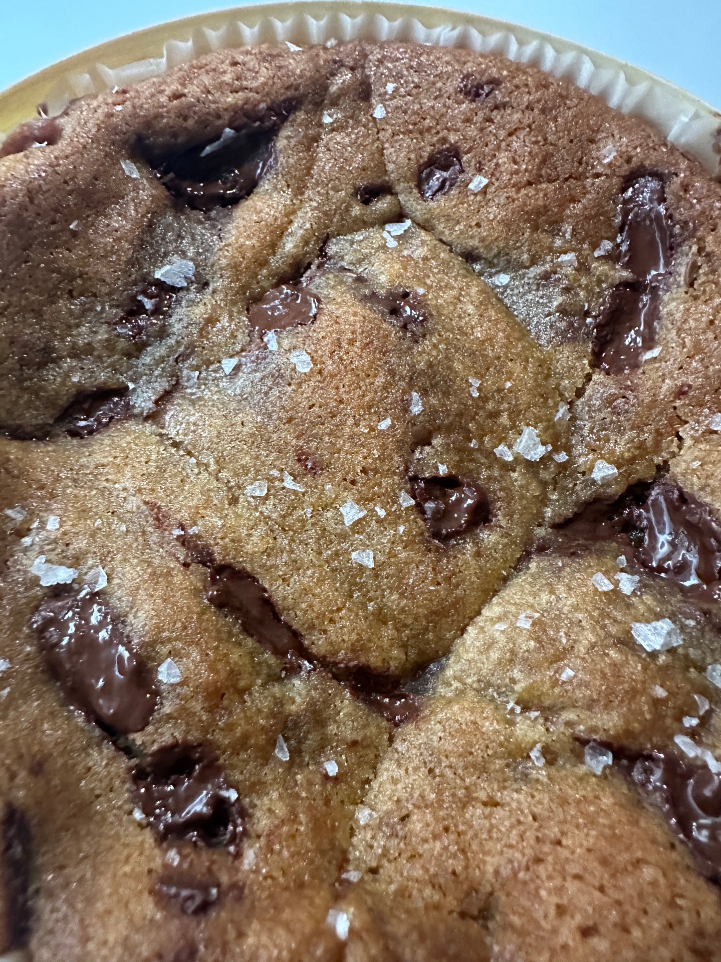 Signature Chocolate Chip Tin